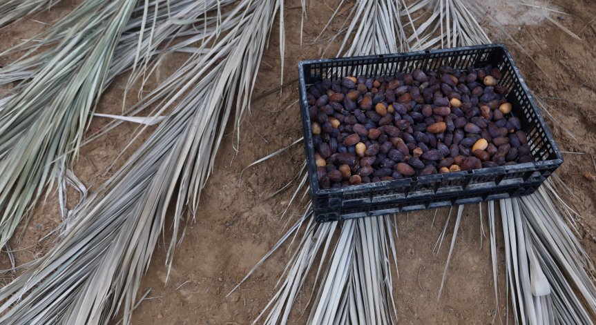 Фурмите са полезни за мъжете, пазят и от инсулт и Алцхаймер