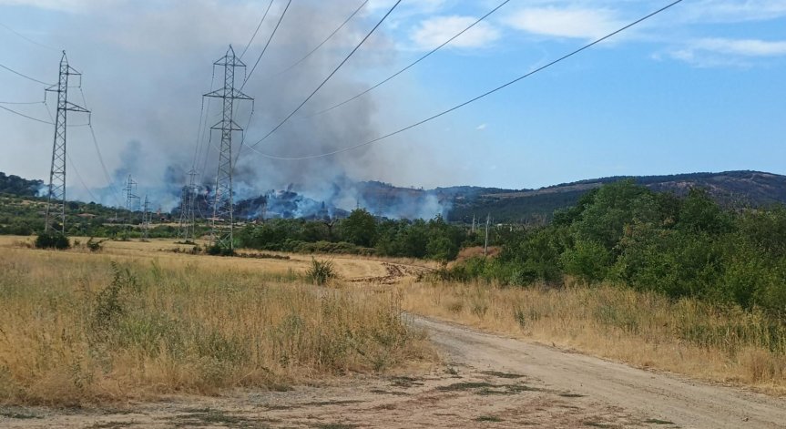 Отправен е и апел към доброволци.