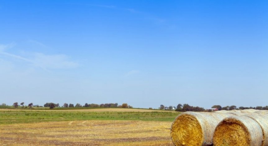 Нови възможности пред българския земеделец да навлезе на китайския пазар