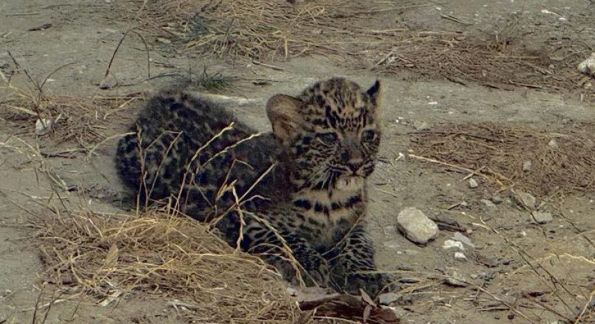Малкото вече започва да проявява все по-голямо любопитство.