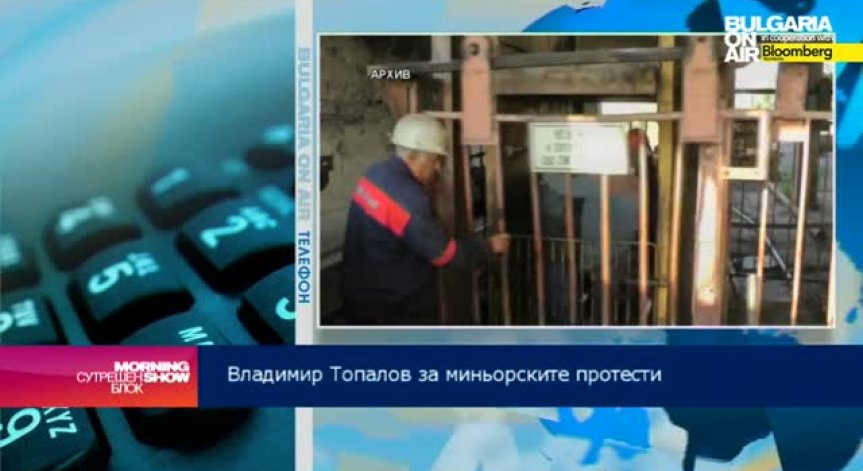 Владимир Топалов: НЕК дължи над 200 млн. лв. на топлоелектрическите централи