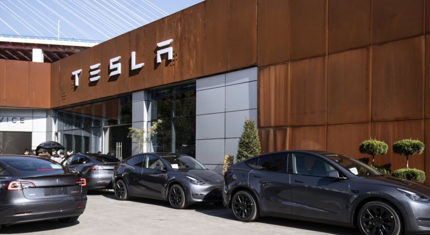 По-малкият брат на Илън Мъск продаде акции на Tesla за $25,6 млн.