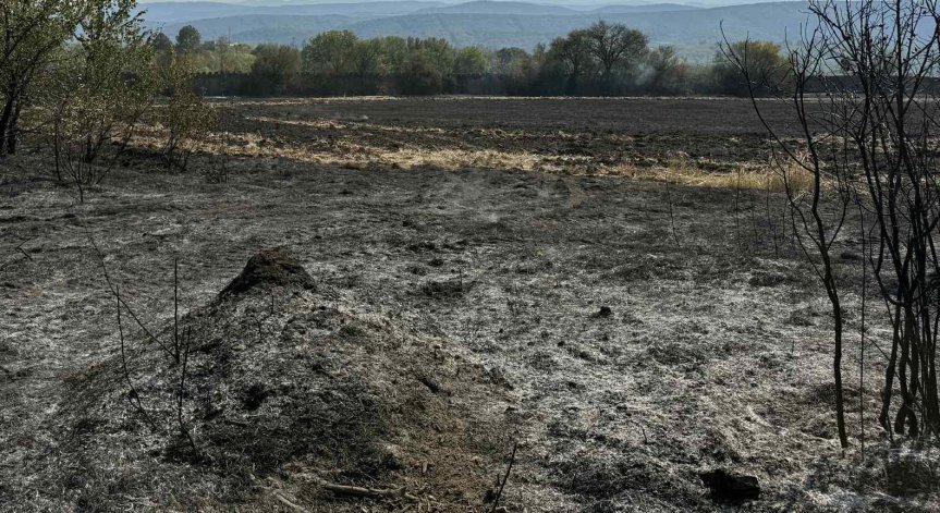 Пожарите изпепелиха огромна територия в страната.