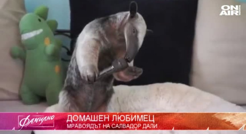 Мравоядът на сюрреалиста Салвадор Дали