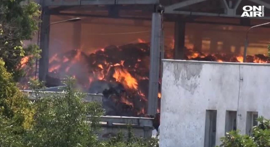 Най-голямата кравеферма в България все още е в пламъци