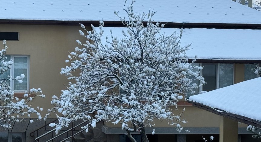 Сняг вали в цялата област Смолян.
