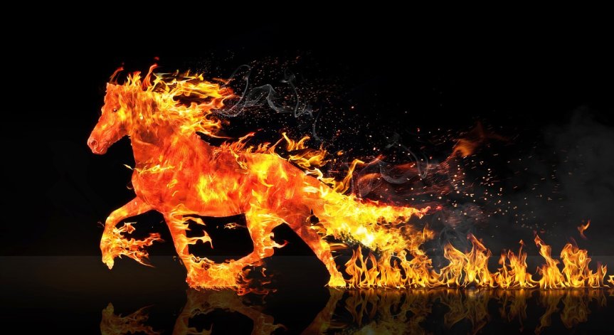 Фъншуй съвети за изобилие през 2026 г.