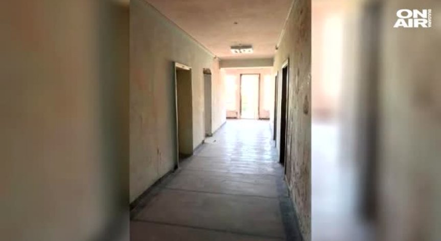 Като във филм на ужасите: Студенти са принудени да живеят сред мухъл, мръсотия и дървеници