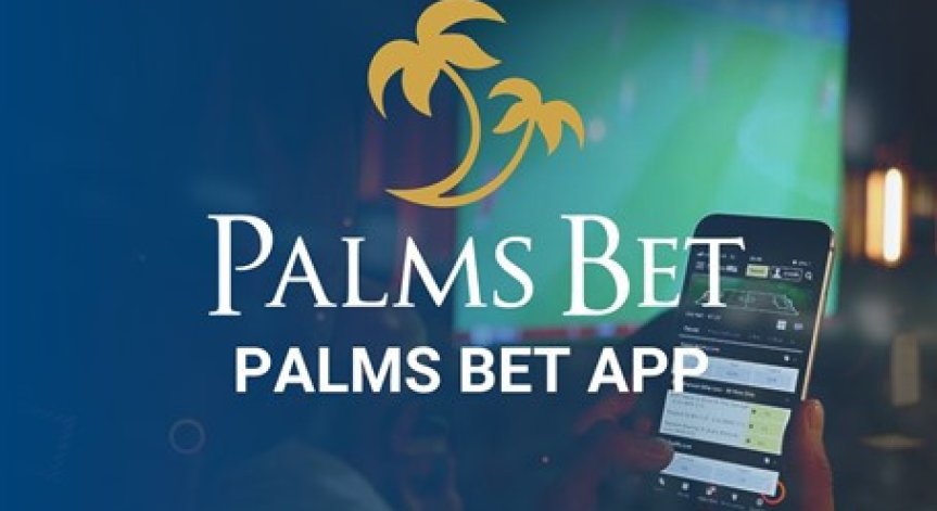 Има ли нужда от Palms Bet мобилно приложение?