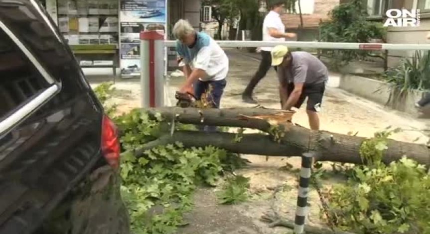 Мощна буря в Русе прекърши дървета и едва не потроши коли
