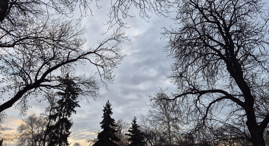 Максималните температури ще са между 9° и 14°.