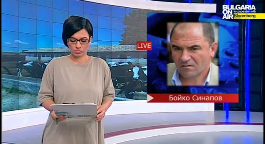 Бойко Синапов: Във всички областни градове вече има случаи на заразени животни от „син език“