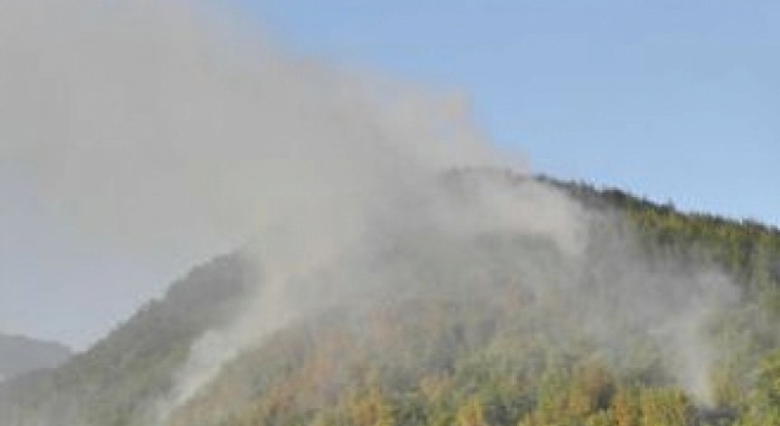 Над 20 служители гасят горски пожар в землището на с.Сопово, община Бобошево