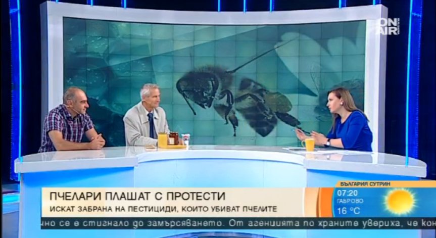 Пазар на меда: Цената на дребно леко се покачва, на едро - пада