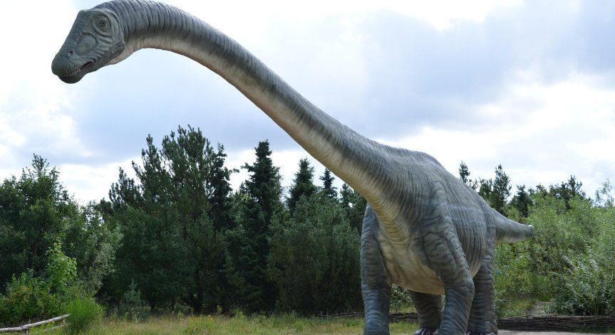 Най-големият скелет на динозавър в Европа е открит в заден двор на къща в Португалия