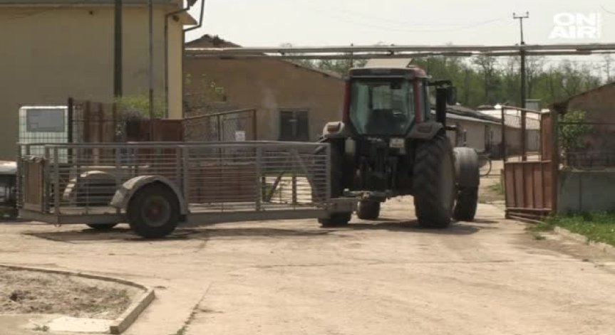 Зърнопроизводители недоволни от проектозакона за горивата