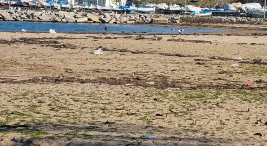 Сигнал: Тоалетните на Южен плаж Китен са малко и затварят рано