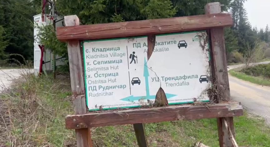 Тяло на мъж с обезобразено лице е открито във Витоша