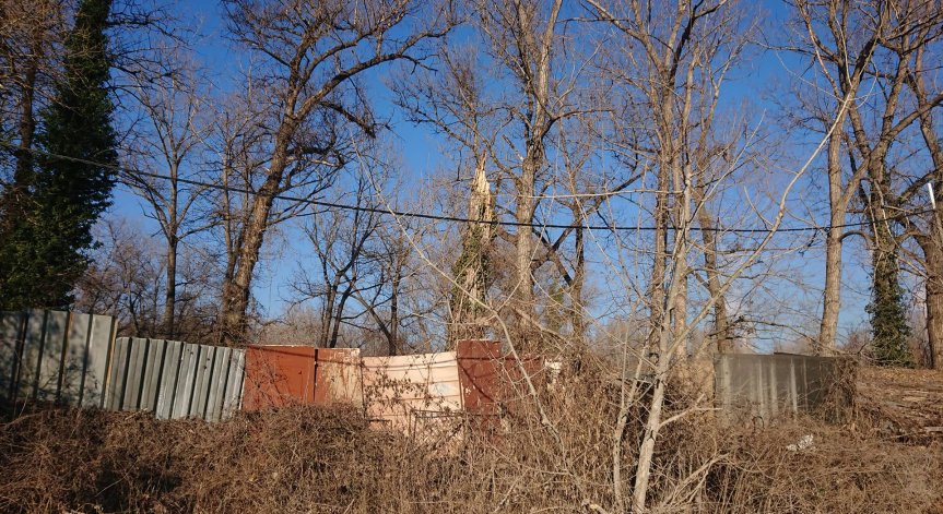 HelpBook сигнал за изпочупени, опасни дървета край къмпинг 