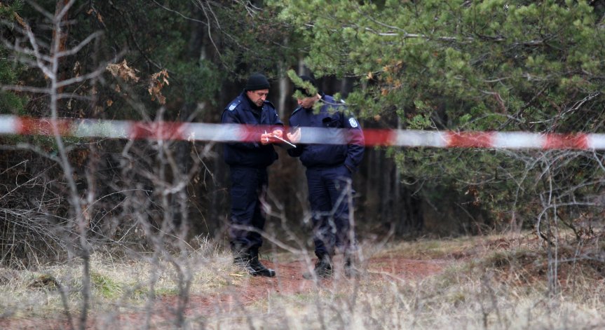 Търсят изгубено 4-годишно дете в гора край Радомир