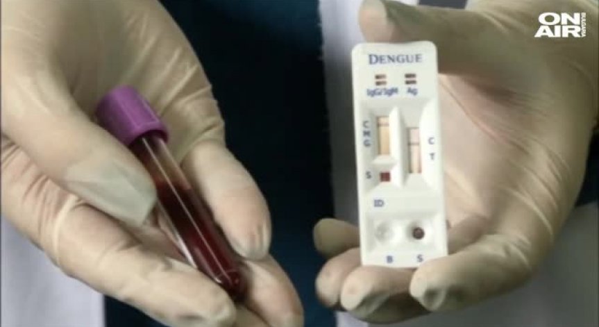 Откриха четири огнища на птичи грип в страната