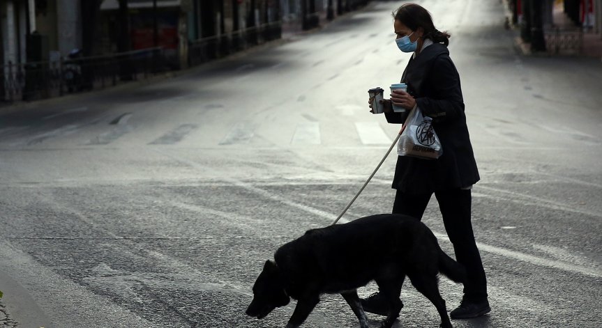 В Германия дресират кучета да откриват Ковид-19 с 94% точност