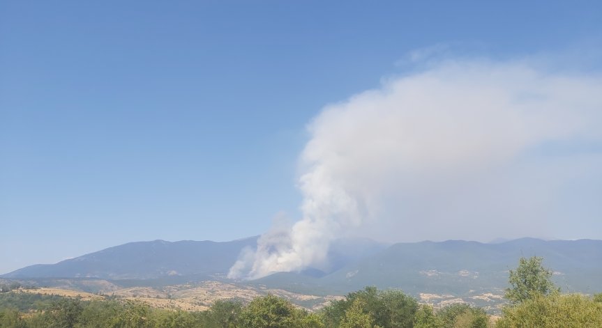 Кметът на Кресна отправи апел.