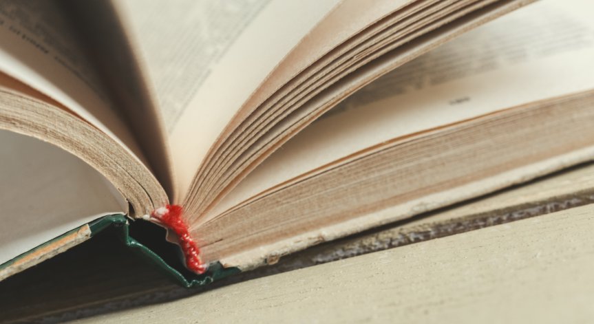 Защо Оксфорд избра този термин?