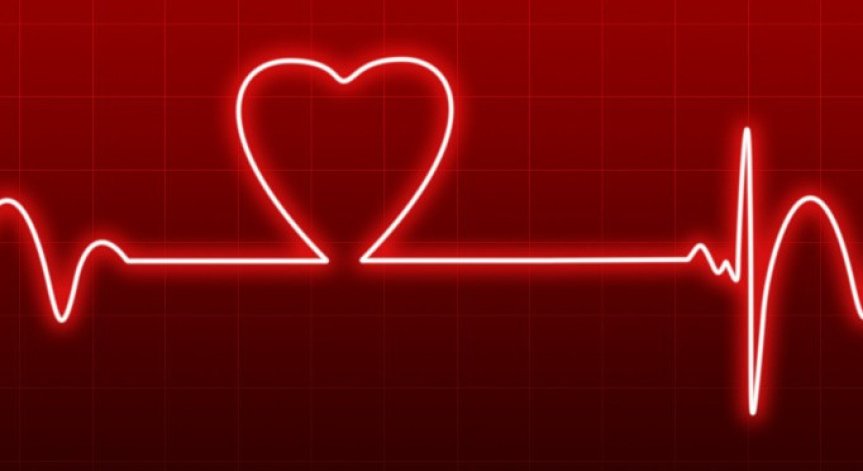 Учени създадоха първия подробен атлас на човешкото сърце