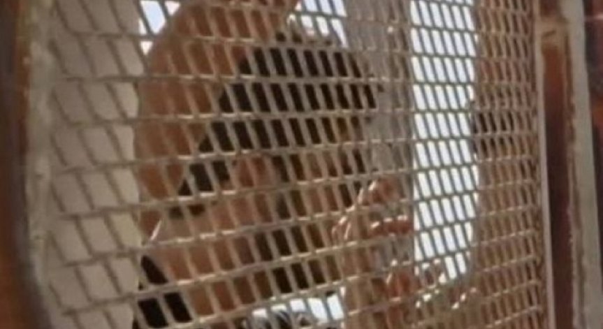 Половината от имигрантите в Европа минават през Турция