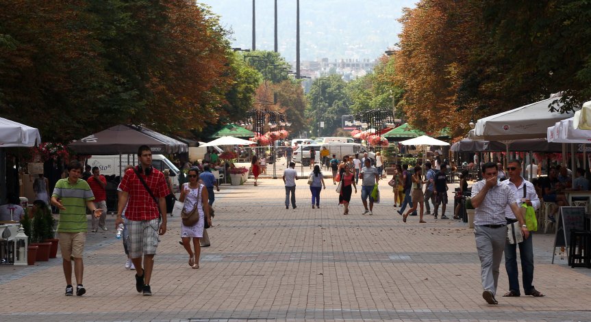 Вегани проведоха информативна акция на 