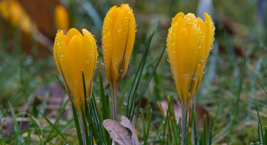 Температурите постепенно се понижават, на места ще превали
