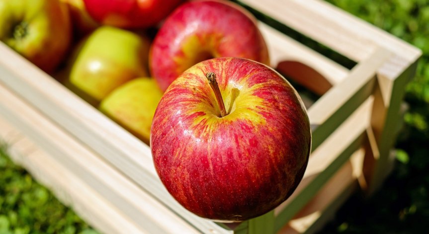 Митовете за здравето, които се оказват пълни с истина?