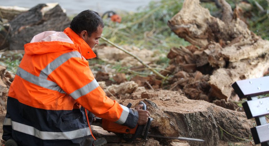 Снимка: Димитър Кьосемарлиев, Bulgaria ON AIR