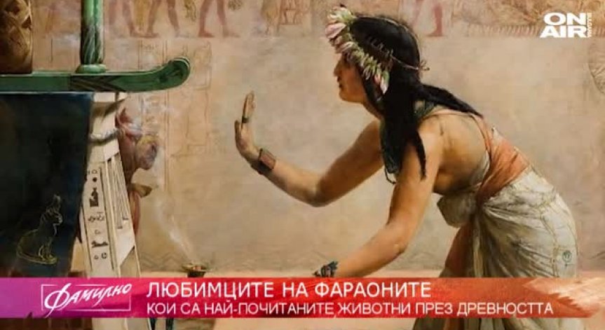 Питали ли сте се кои са били домашните любимци на египетските фараони?