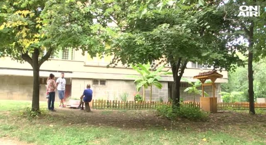 Бананови палми в Стара Загора