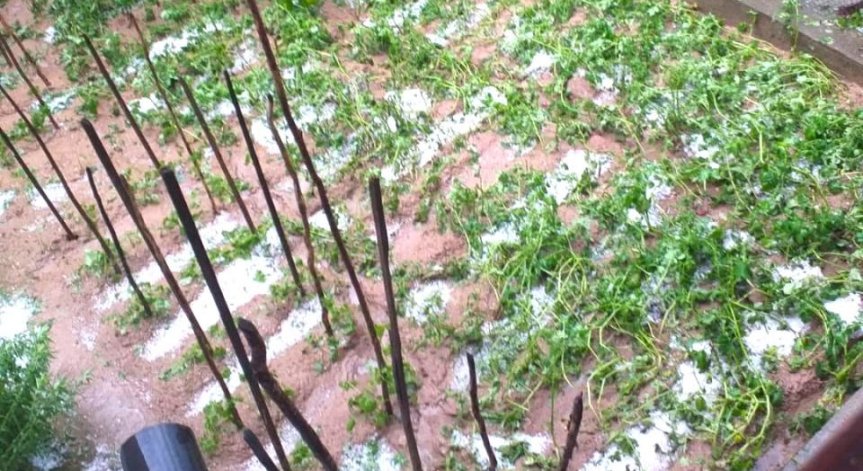 Силна градушка и интензивни валежи удариха няколко района в България