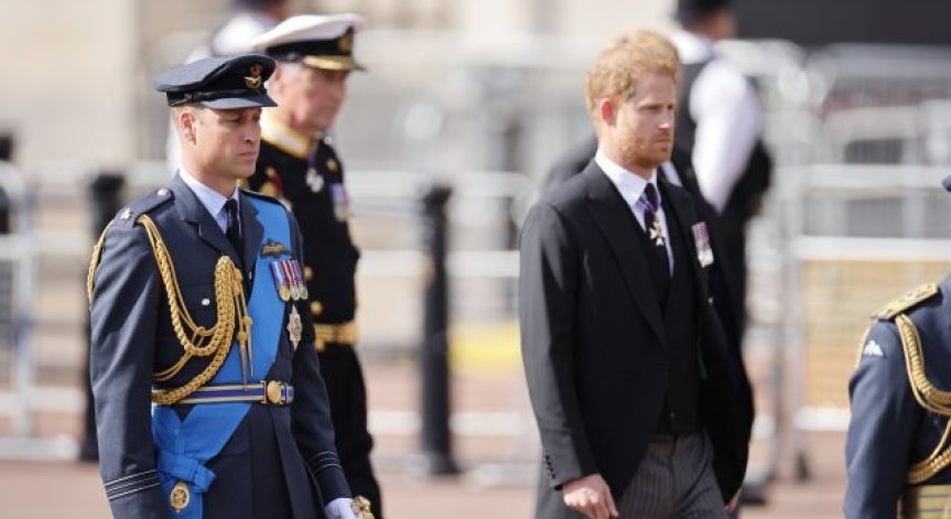 Принц Уилям презира принц Хари.