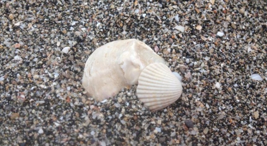 Община Бургас ще тегли кредит за изграждането на спортен комплекс