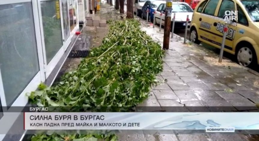 Гигантски клон падна пред майка и дете в Бургас