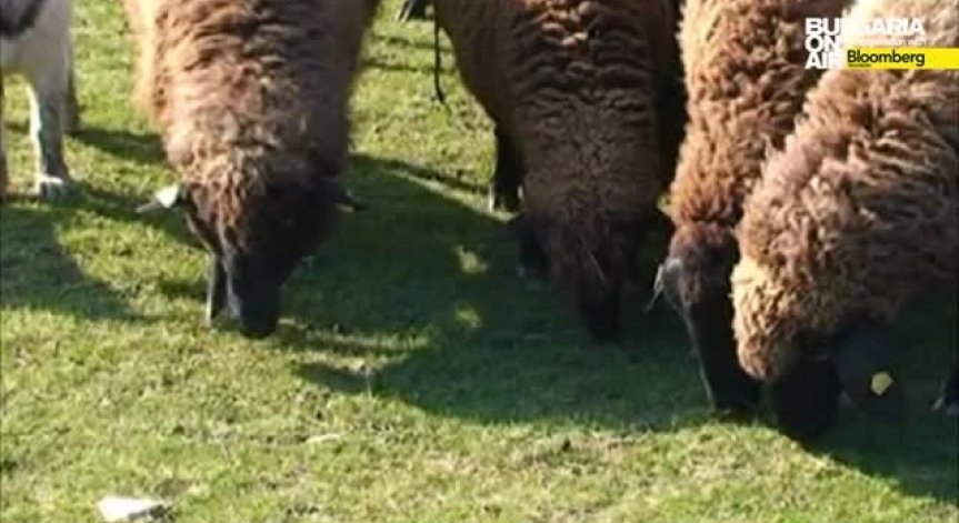 Стартира нова програма в ползва на младите фермери