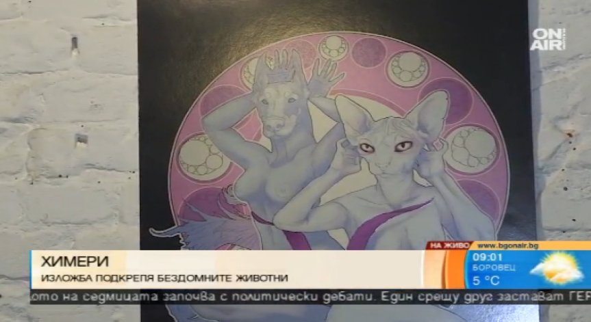 Благотворителна изложба помага на бездомни животни