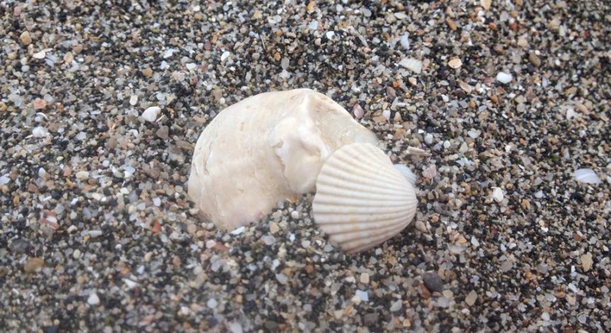 МРРБ не откри нередности при концесията на плажа в Несебър