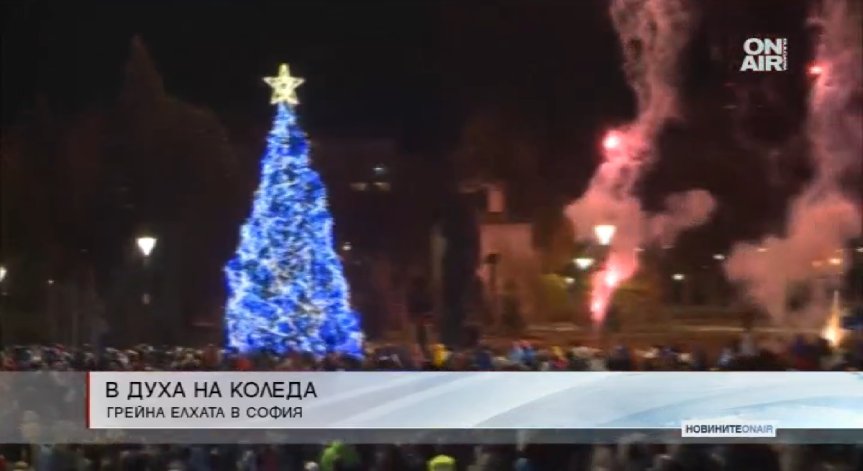 Грейна коледната елха в София