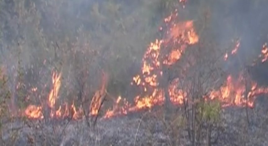 Фандъкова: Няма опасност за къщите в село Локорско