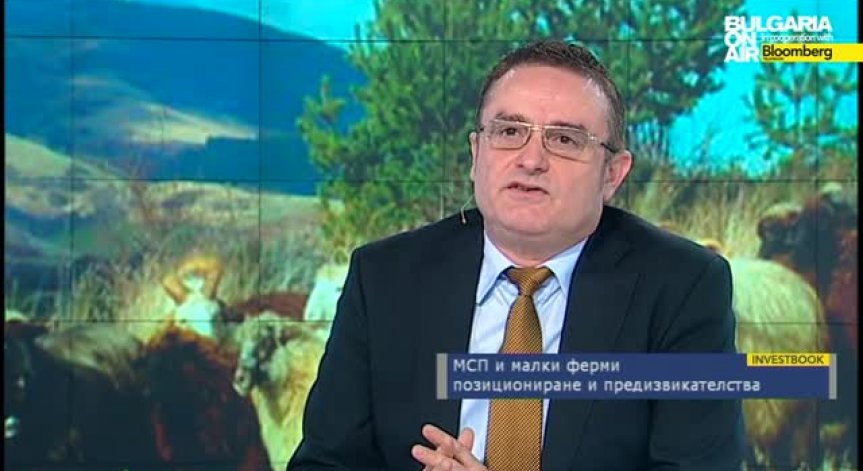 МСП и малки ферми - роля в икономиката