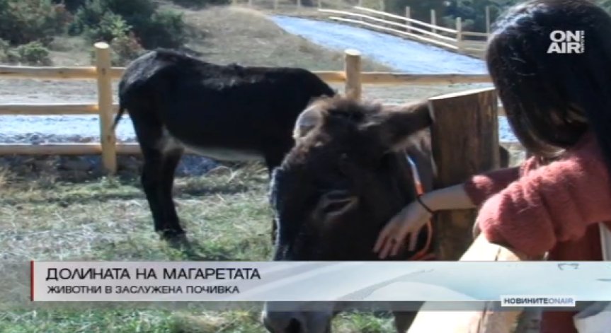 Откриха приют за стари магарета в село Баничан