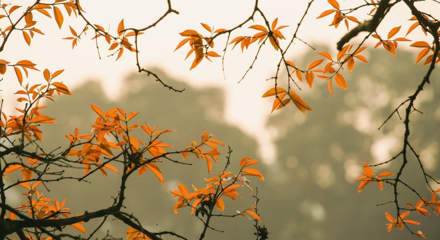 Снимка: freepik