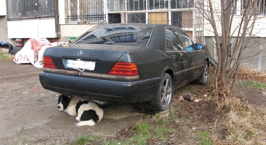 Изоставена кола в парк в 