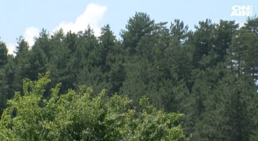 ПСС намери две жени, изгубили се в Пирин